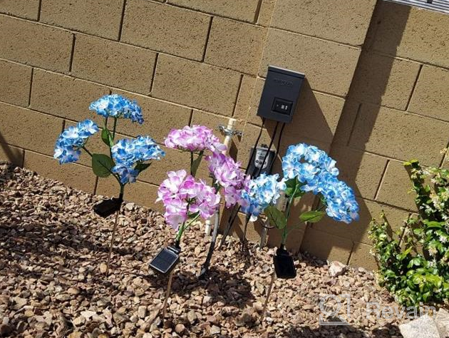 img 1 attached to 3 Pack Solar Garden Lights 2022 Version – Outdoor Colorful Hydrangea Flower Decoration, Two Lighting Modes & Enlarged Solar Panel - TONULAX review by George Mack