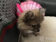 картинка 1 прикреплена к отзыву Small Flower Pink Puppy Tutu Skirt Dog Dress - Cute And Stylish Pet Outfit! от Alejandro Anaya