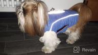 img 1 attached to Keep Your Dog Warm And Cozy This Winter With ThinkPet Waterproof Reversible Cold Weather Coats! review by Kendra Alexander