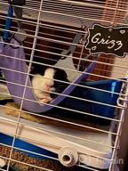 img 1 attached to Homeya Small Animal Guinea-Pig Hanging Hammocks Bed Pet Cage Hammock For Ferret Cat Rat Chinchilla Hamster Cavy Degu Gerbil Rabbit Playing Cozy Activity Fun Toy (Guinea-Pig Size Grey) review by Gerald Munajj