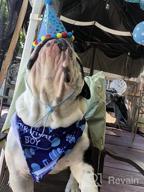 img 1 attached to Celebrate Your Pup'S Big Day With TCBOYING'S 11-Piece Dog Birthday Set – Blue Bandana, Hat, Scarf, Flags, Balloons & More! review by Caleb Olsen