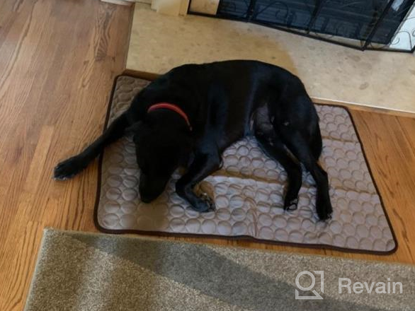 img 1 attached to Keep Your Dogs Cool This Summer With XZKING'S Ice Silk Pet Self Cooling Mat - 27.6X39, Blue review by Chris Elam