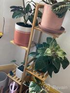 картинка 1 прикреплена к отзыву 5 Tier 6 Potted Plant Stand Rack: Bamboo Flower Pot Holder Shelf For Indoor/Outdoor Planter Display Shelving Unit In Patio Garden, Corner Balcony & Living Room от Ryan Reiter