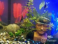 img 1 attached to Live Anubias Nana Petite Aquarium Plant - Perfect For Freshwater Fish Tanks Decorations And Decor | SubstrateSource review by Amy Gregoire