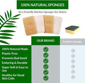 img 1 attached to 🌿 RAYNTREE Biodegradable Kitchen Sponges for Dishes (Pack of 6), Eco-Friendly Dish Sponges for Washing Dishes, Natural Sponge and Non-Scratch Scouring Pads Made of Cellulose & Loofah