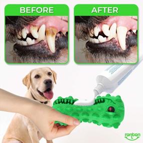 img 1 attached to Indestructible Dental Chew Toys For Large Breed Dogs By Ronton - 100% Natural Rubber, Ideal For Aggressive Chewers, Promotes Oral Care And Squeaky Fun