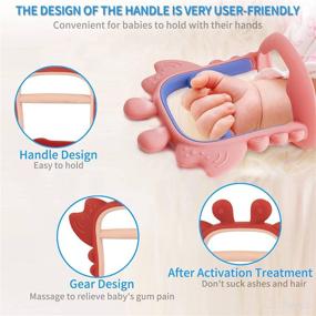 img 3 attached to 🦀 AmorBeBe Never Collect Dust Baby Teethers: 2-Pack Anti-Dropping Teething Toys for Babies 0-6 Months & 6-12 Months - Silicone Wrist Teether, Sensory Chew Montessori - Hand Pacifier (Crab)