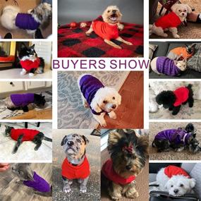 img 3 attached to 🐾 CHBORCHICEN Small Dog Sweaters: Cozy Knitted Pet Sweater for Cats and Dogs - Stay Warm in Style Throughout Winter (Small, Purple)