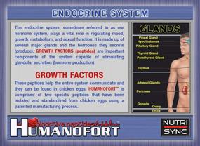 img 1 attached to Nutri-Sync HUMANOFORT - 💪 200mg Per Capsule, 60 Capsules