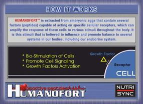 img 2 attached to Nutri-Sync HUMANOFORT - 💪 200mg Per Capsule, 60 Capsules