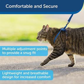 img 2 attached to 🐱 PetSafe Come With Me Kitty Harness and Bungee Leash - Large, Royal Blue/Navy: The Ultimate Cat Harness for Safe Outdoor Adventures