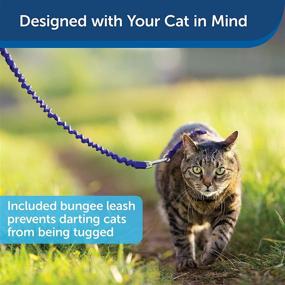 img 1 attached to 🐱 PetSafe Come With Me Kitty Harness and Bungee Leash - Large, Royal Blue/Navy: The Ultimate Cat Harness for Safe Outdoor Adventures