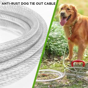 img 1 attached to AMFOSNEL Dog Tie Out Cable and Stake - 30 FT Long Heavy Duty Leash for Training, Playing, and Camping with Buffer Spring for Medium and Large Dogs in The Yard or Outdoors