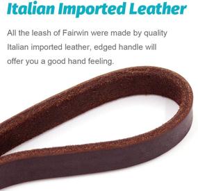 img 1 attached to Fairwin Braided Leather Training Leash Dogs