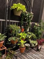 картинка 1 прикреплена к отзыву DOEWORKS 3 Tier Plant Stand and Garden Arch Combo, Flower Pot Holder Display Shelf with Climbing Plant Support, Black от Ricardo Thotti