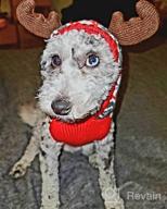 img 1 attached to KYEESE Christmas Dog Sweater Hoodie Reindeer Red Dogs Knitwear Pullover Pet Sweater With Leash Hole Ugly Christmas Dog Sweater For Small Dogs review by Terry Moore