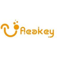 aeakey logo