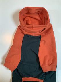 img 2 attached to 🐶 Large Dog Sweater by Tooth and Honey - Dark Green & Orange Pitbull Sweater/Sweatshirt