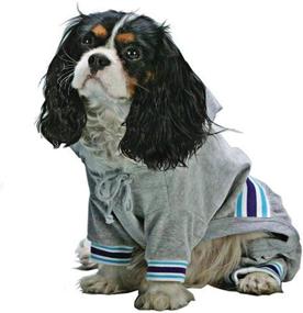 img 2 attached to Fashion Pet Outdoor Classic Turtleneck Dogs best on Apparel & Accessories