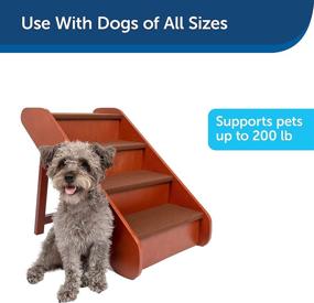 img 2 attached to 🐾 Foldable Wood Pet Steps for High Beds by PetSafe CozyUp - Dog Stairs for Large Dogs, Puppies, and Cats - Supports up to 200 Pounds - Adjustable Height from 15 to 25 Inches