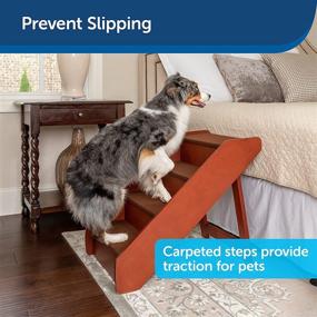 img 3 attached to 🐾 Foldable Wood Pet Steps for High Beds by PetSafe CozyUp - Dog Stairs for Large Dogs, Puppies, and Cats - Supports up to 200 Pounds - Adjustable Height from 15 to 25 Inches