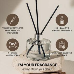 img 3 attached to 🍐 COCODOR Mini Reed Diffuser Gift Set- English Pearfree Fragrance for Cars, Cubicles, and Small Rooms- 1.6oz Decorative Diffuser Oil Sticks