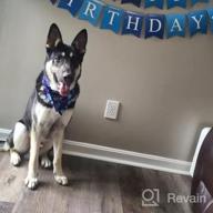 img 1 attached to Celebrate Your Pup'S Big Day With TCBOYING'S 11-Piece Dog Birthday Set – Blue Bandana, Hat, Scarf, Flags, Balloons & More! review by Johnny Burns