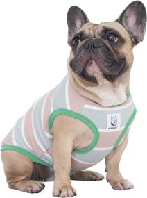 img 4 attached to Одежда в полоску Bulldog Frenchie English