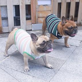 img 1 attached to Одежда в полоску Bulldog Frenchie English