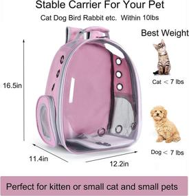 img 3 attached to 🐱 COFOETLN Bubble Cat Backpack Carrier - Airline-Approved, Ventilated Transparent Capsule, Ideal for Travel, Walking, Hiking, and Outdoor Use. (Pink)