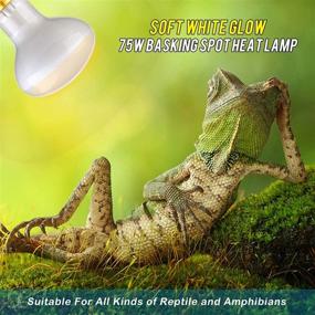 img 1 attached to 🔆 2 Pack 75W UVA Heat Bulb for Reptile & Amphibian - Sun Glow Basking Spot Lamp with Soft White Light