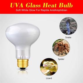 img 2 attached to 🔆 2 Pack 75W UVA Heat Bulb for Reptile & Amphibian - Sun Glow Basking Spot Lamp with Soft White Light