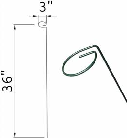 img 2 attached to Tingyuan 36 Inches Single Stem Plant Support Stakes Steel Garden Stakes, Pack Of 20