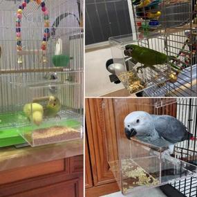 img 3 attached to 🐦 Spacious Tidy Seed Bird Feeder for Large Parrots - Ideal African Grey & Amazon Toys - No Mess!