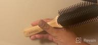 img 1 attached to Detangling Hair Brush For Thick Curly Hair Men Women - 9 Rows Hair Bristle Brush - Detangler Brushes For Men'S Women For Styling Hair - Wooden Hairbrush For Hair Growth review by Hector Nito