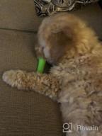 img 1 attached to Unbreakable Oneisall Dog Chew Toy For Aggressive Puppy Chewers review by Tim Thuss