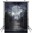 5x7ft halloween horror backdrop: iron gate, moonlit black night, abandoned manor photography background vinyl | lywygg cp-52-0507 logo