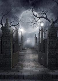 img 3 attached to 5X7Ft Halloween Horror Backdrop: Iron Gate, Moonlit Black Night, Abandoned Manor Photography Background Vinyl | LYWYGG CP-52-0507