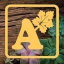 alsip home & nursery logo