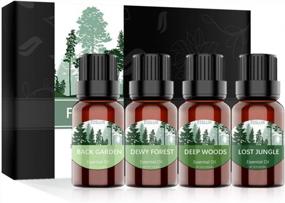 img 4 attached to Premium Woodsy Essential Oils Gift Set From ESSLUX Forest Collection For Diffuser, Home Fragrance, And Soap Candle Making - High-Quality Essential Oils Blend