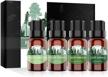 premium woodsy essential oils gift set from esslux forest collection for diffuser, home fragrance, and soap candle making - high-quality essential oils blend logo