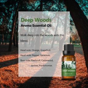 img 2 attached to Premium Woodsy Essential Oils Gift Set From ESSLUX Forest Collection For Diffuser, Home Fragrance, And Soap Candle Making - High-Quality Essential Oils Blend