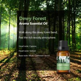 img 1 attached to Premium Woodsy Essential Oils Gift Set From ESSLUX Forest Collection For Diffuser, Home Fragrance, And Soap Candle Making - High-Quality Essential Oils Blend