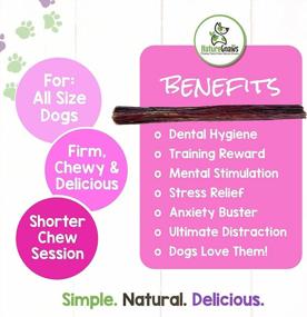 img 1 attached to Nature Gnaws Beef Jerky Sticks For Dogs - Single Ingredient Beef Gullet Chew Treats - Simple Natural Delicious Dog Chews - Training Reward - 5-6 Inch