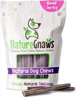 nature gnaws beef jerky sticks for dogs - жевательные лакомства из говядины с одним ингредиентом - простые натуральные вкусные жевательные конфеты для собак - награда за обучение - 5-6 дюймов логотип