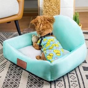 img 3 attached to 🐾 Croachiv Small Dog & Cat Bed - 22 Inches, Washable & Durable Fabric Filled with Fluffy Cotton, Slip-Resistant Bottom - Ideal for Small Dogs & Indoor Cats up to 22 lbs