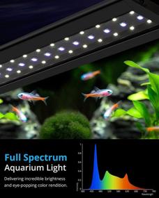 img 3 attached to 🐠 Enhance Your Aquatic Wonder: NICREW AquaLux 24/7 LED Aquarium Light with 24-Hour Lighting Cycle and Automatic Timer - Perfect for Planted Aquariums, 18-24 Inches, 14 Watts