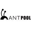 antpool логотип