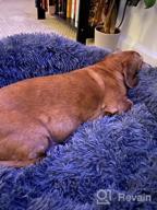 img 1 attached to Ultimate Comfort With PUPPBUDD'S Self-Warming Faux Fur Dog Bed - Perfect For Small Dogs Up To 35Lbs review by Telly Roden