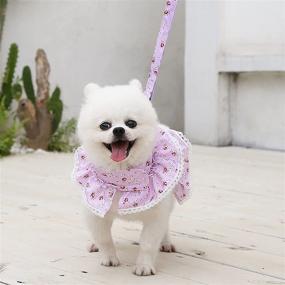 img 3 attached to PUMYPOREITY Harness Princess Costume Outdoor Dogs